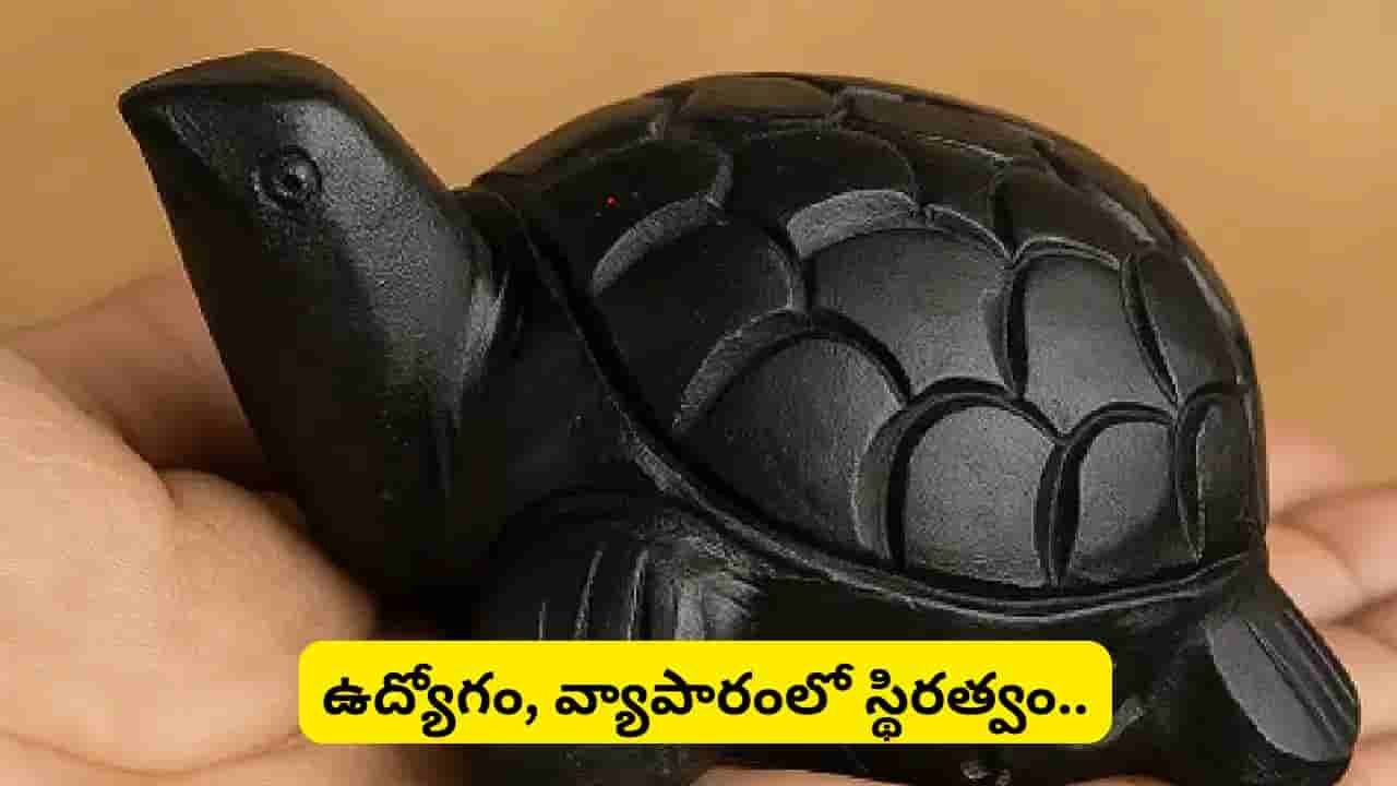 Feng Shui Tips: ఇంట్లో నల్ల తాబేలును ఉంచితే కలిగే ప్రయోజనాలు ఇవే.. ఏ దిశలో ఉంచితే అదృష్టం కలిసొస్తుంది?