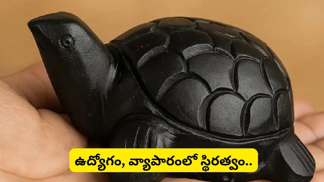 Feng Shui Tips: ఇంట్లో నల్ల తాబేలును ఉంచితే కలిగే ప్రయోజనాలు ఇవే.. ఏ దిశలో ఉంచితే అదృష్టం కలిసొస్తుంది?