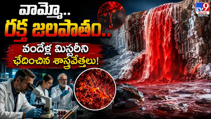 వామ్మో.. రక్త జలపాతం.. వందేళ్ల మిస్టరీని ఛేదించిన శాస్త్రవేత్తలు! వామ్మో.. రక్త జలపాతం.. వందేళ్ల మిస్టరీని ఛేదించిన శాస్త్రవేత్తలు!