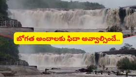 బోగత అందాలు చూస్తే ఫిదా అవ్వాల్సిందే..