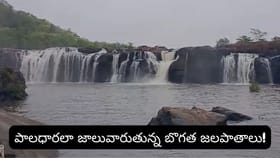 తెలంగాణ నయాగరా మళ్లీ జలకళ.. ప్రకృతి ప్రేమికులకు ఇదే బెస్ట్ టైమ్!