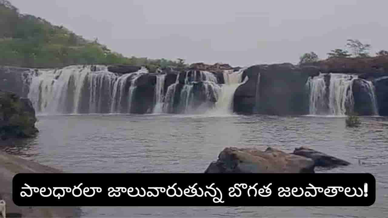 తెలంగాణ నయాగరా మళ్లీ జలకళ.. ప్రకృతి ప్రేమికులకు ఇదే బెస్ట్ టైమ్!