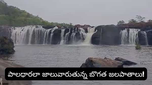 తెలంగాణ నయాగరా మళ్లీ జలకళ.. ప్రకృతి ప్రేమికులకు ఇదే బెస్ట్ టైమ్!