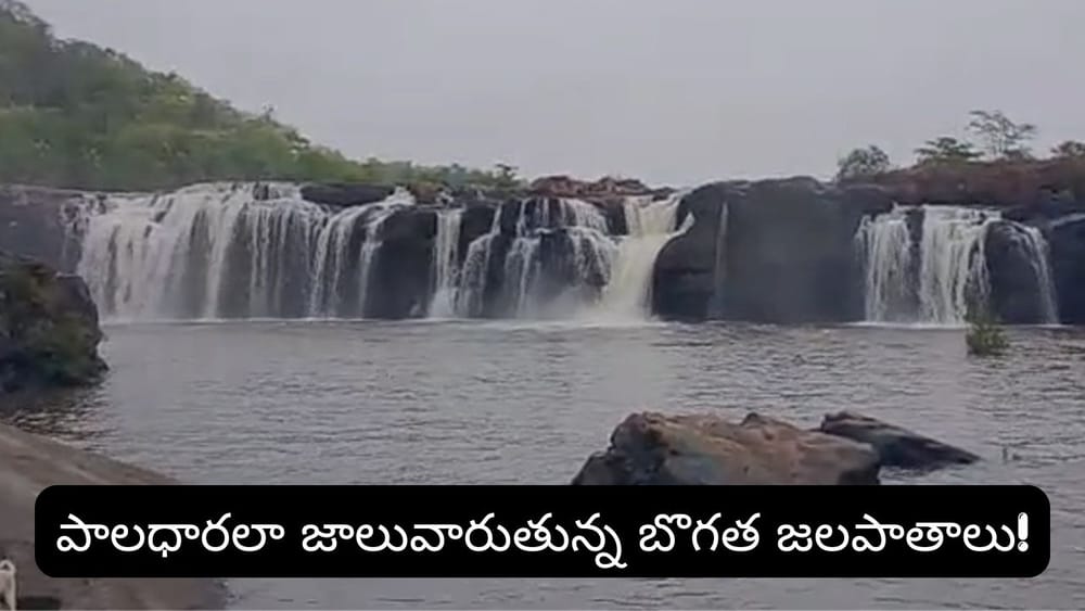 తెలంగాణ నయాగరా మళ్లీ జలకళ.. ప్రకృతి ప్రేమికులకు ఇదే బెస్ట్ టైమ్!