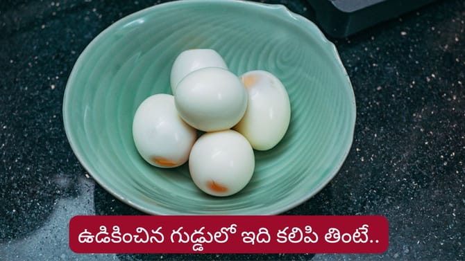 ఉడికించిన గుడ్డును ఇలా తింటే.. మీ శరీరంలో జరిగే మ్యాజిక్ ఇదే..