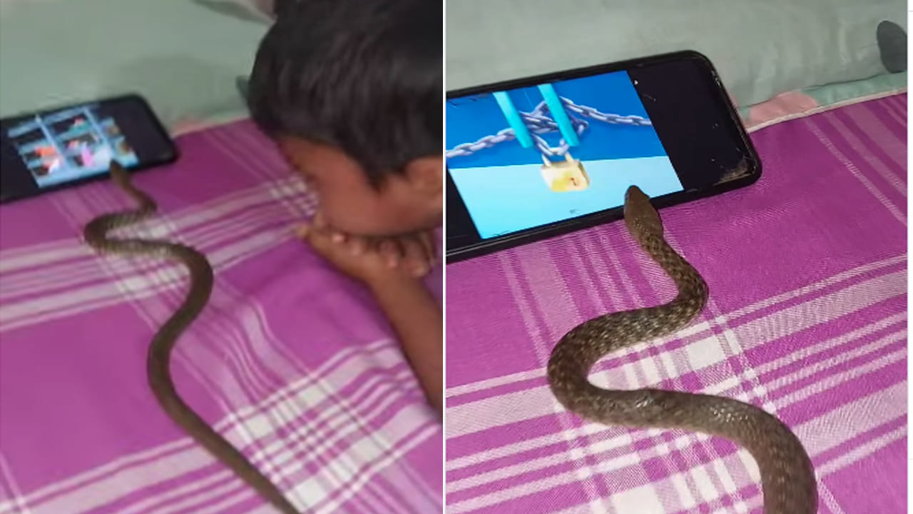 Viral Video: బాలుడితో కలిసి కార్టూన్లు చూసిన పాము..? ఒళ్ళు గగుర్పాటుకు గురి చేస్తున్న వీడియో..!