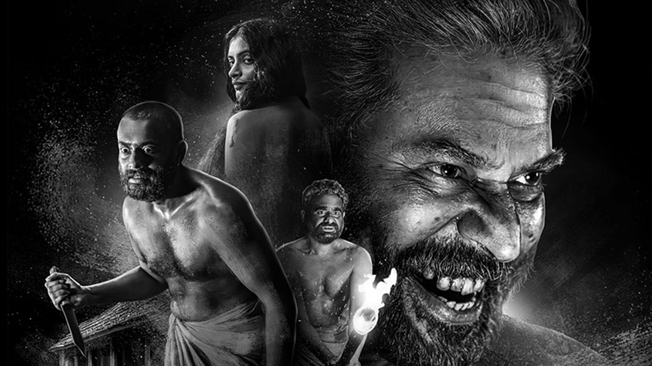 'బ్రహ్మయుగం' అనేది రాహుల్ సదాశివం దర్శకత్వంలో మమ్ముట్టి నటించిన ఒక మలయాళ చిత్రం, ఇది 2024లో విడుదలైంది. ఈ చిత్రం సోనీ లివ్ ఓటీటీలో అందుబాటులో ఉంది. మీరు ఈ చిత్రాన్ని తమిళంలో కూడా చూడవచ్చు. ఒక్క బోరింగ్ సన్నివేశం కూడా లేకుండా ఇది మనల్ని దక్షిణ మలబార్కు తీసుకెళ్తుంది. ఆ ఇంట్లో జరిగే రహస్యాలు, మమ్ముట్టి గంభీరమైన రూపం, నేపథ్య సంగీతం మనల్ని సినిమాలోకి లాగేస్తాయి.
