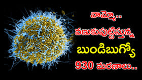 వణికిస్తున్న బుండిబుగ్యో.. 2,344 కేసులు, 930 మరణాలు!