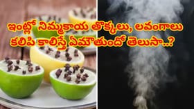 నానమ్మల కాలం నాటి రహస్యం..ఇంట్లో నిమ్మ తొక్కలు, లవంగాలు కాల్చడం?