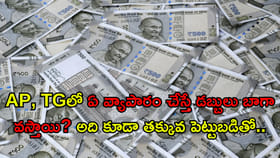 ఇప్పుడున్న పరిస్థితుల్లో ఏ వ్యాపారం చేస్తే డబ్బులు బాగా వస్తాయి?