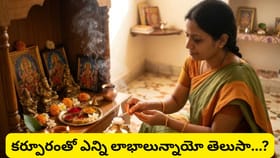 కర్పూరంతో ఈ చిన్న పరిహారం చేస్తే చాలు.. ఇంట్లో నెగెటివ్ ఎనర్జీ..