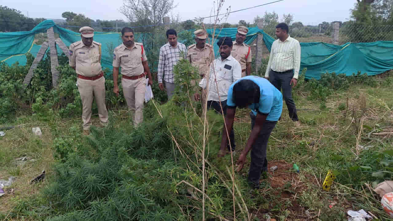 Telangana: ఆశ్రమం పరిసరాల్లో గుప్పుమంటున్న వాసన.. ఏంటని చూస్తే అంతా షాక్..!