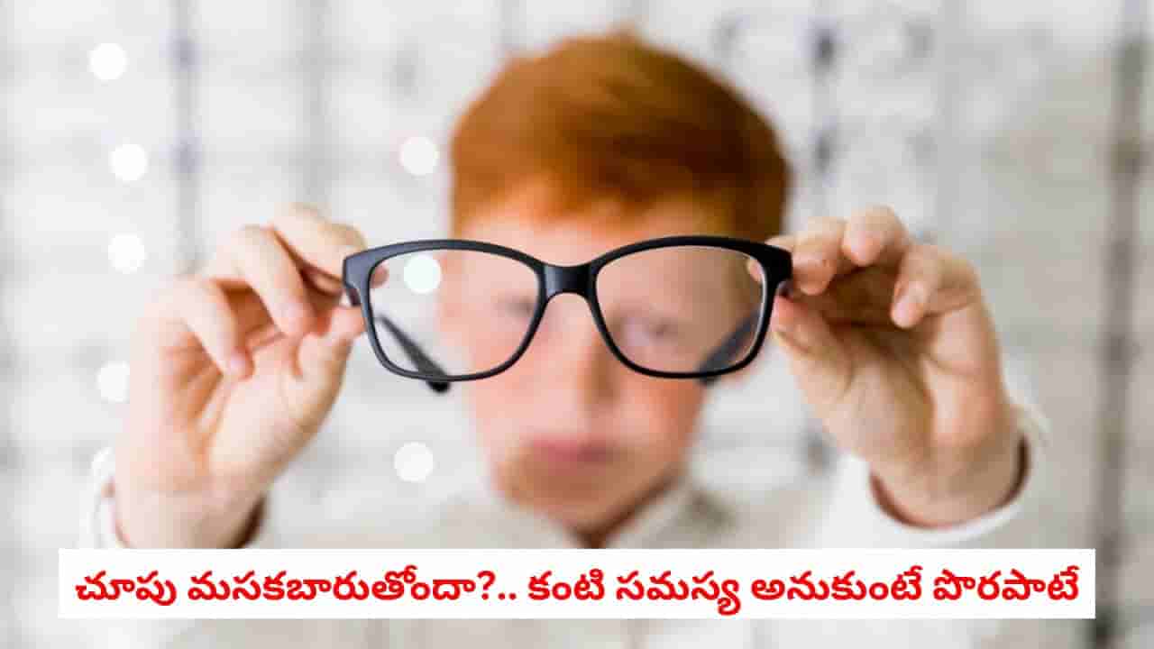 Blurred Vision: చూపు మసకబారుతోందా?.. కంటి సమస్య అనుకుంటే పొరపాటే.. ప్రాణాంతక వ్యాధులకు అది సంకేతం కావచ్చు!
