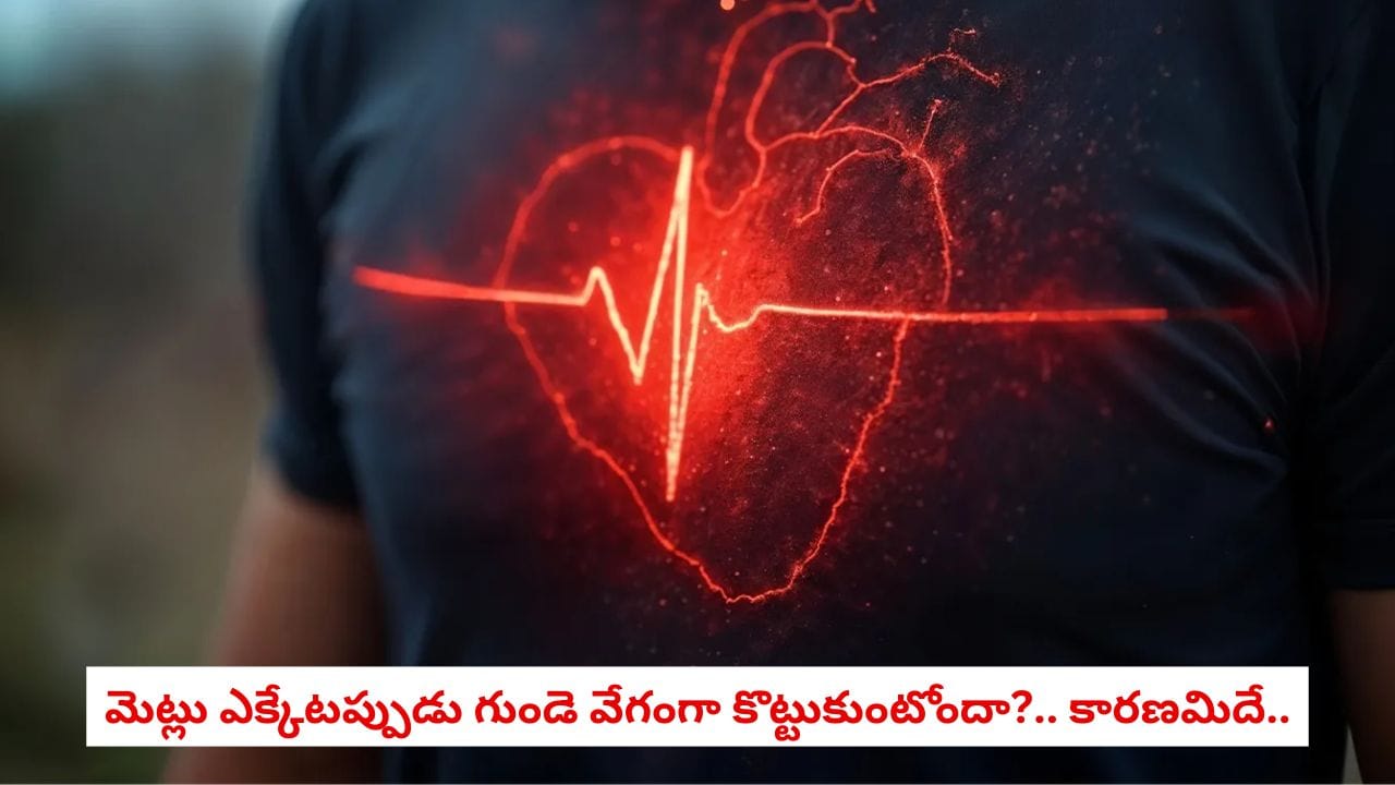 Health Alert: కొన్ని మెట్లు ఎక్కగానే విపరీతమైన ఆయాసం వస్తోందా?.. దీనిని అస్సలు లైట్ తీసుకోకండి!