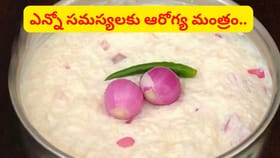 ఎన్నో సమస్యలకు చద్దన్నం మంత్రం.. ఈ ఆరోగ్య రహస్యం తెలిస్తే వదలరు