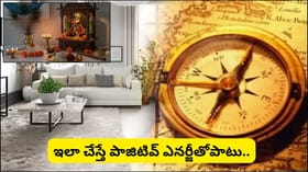 చాతుర్మాసంలో ఈ 5 పనులు తప్పక చేయండి.. ఇంట్లో ప్రతికూల శక్తి దూరం