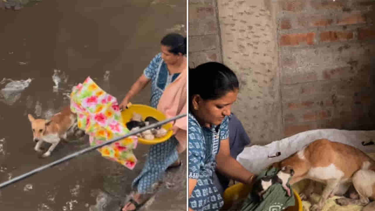 Video: రియల్ హీరోలు మన మధ్యనే ఉన్నారు..! వీళ్లకి చేతులెత్తి మొక్కొచ్చు