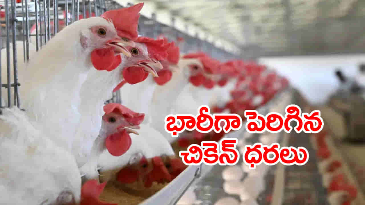 ఆదివారం షాక్.. భగ్గుమంటున్న చికెన్, కోడి గుడ్ల ధరలు! ప్రస్తుతం కిలో ధర ఎంతంటే..