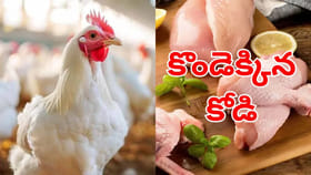 కొండెక్కిన కోడి.. భారీగా పెరిగిన చికెన్ ధరలు..