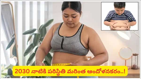 పిల్లలు, యువతలో పెరుగుతున్న ఊబకాయం.. జంక్ ఫుడ్పై కఠిన నిబంధనలకు ICMR-NIN కీలక ప్రతిపాదనలు!