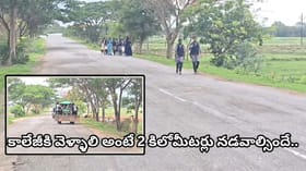 కాలేజీకి వెళ్లాలంటే ప్రాణాలే పణం..! బస్సులు ఆగక ట్రాక్టర్లపై వేలా