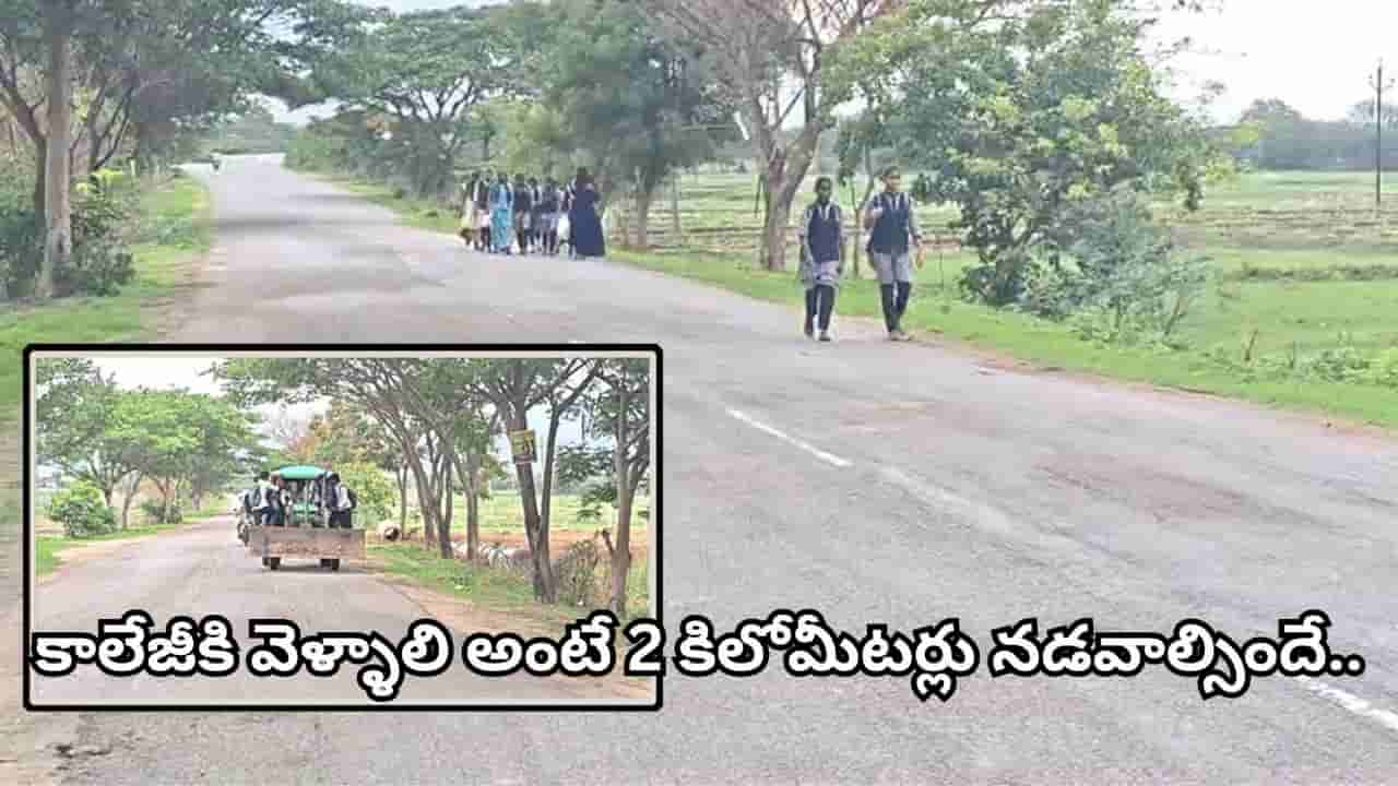 కాలేజీకి వెళ్లాలంటే ప్రాణాలే పణం..! బస్సులు ఆగక ట్రాక్టర్లపై వేలాడుతున్న విద్యార్థులు