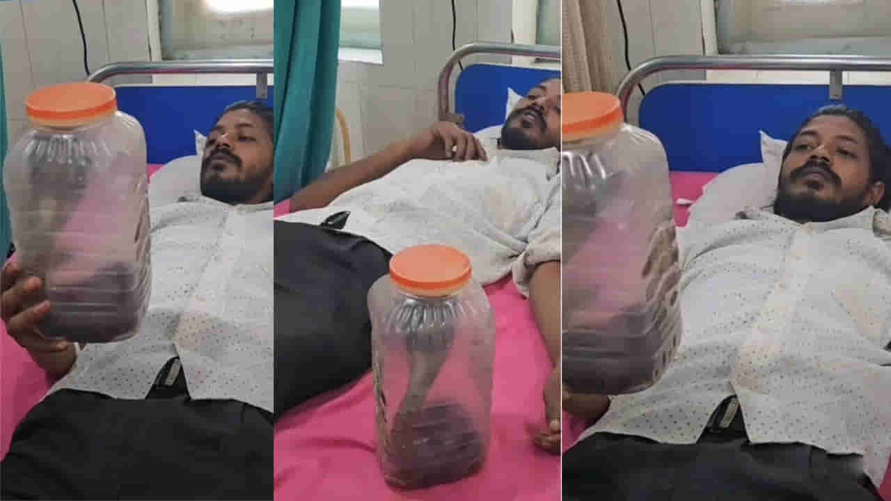 Viral Video: ఇలా ఉన్నారేంట్రా సామీ..! కాటేసిన కోబ్రాను డబ్బాలో పెట్టి ఆస్పత్రికి తీసుకెళ్లిన యువకుడు.. షాకింగ్ సీన్తో రోగులు పరుగో పరుగు