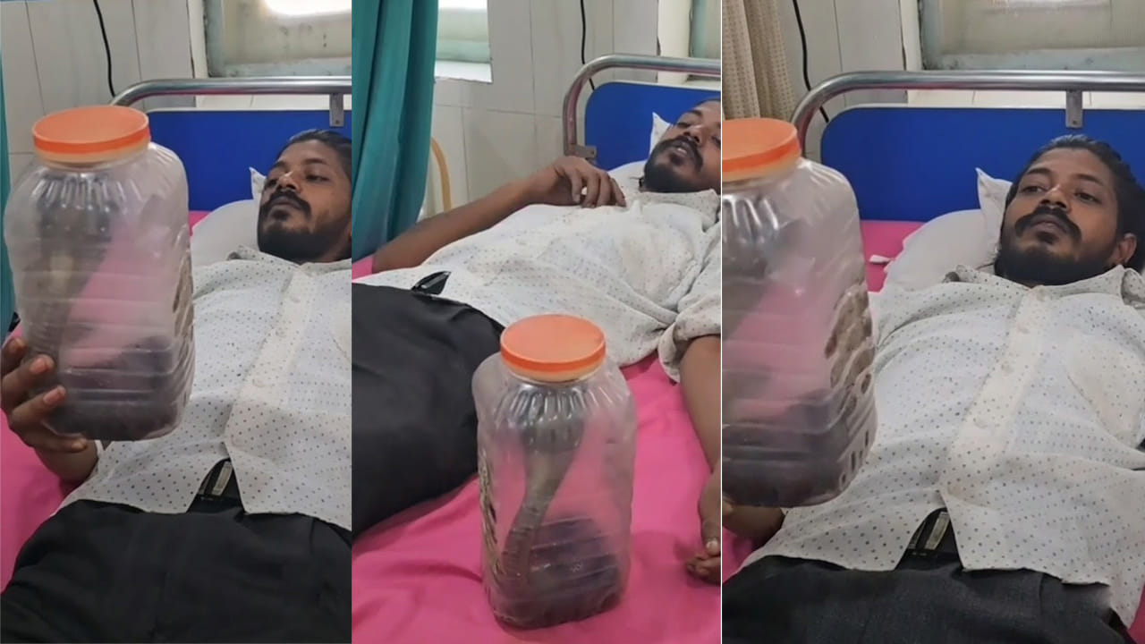 Viral Video: ఇలా ఉన్నారేంట్రా సామీ..! కాటేసిన కోబ్రాను డబ్బాలో పెట్టి ఆస్పత్రికి తీసుకెళ్లిన యువకుడు.. షాకింగ్ సీన్తో రోగులు పరుగో పరుగు
