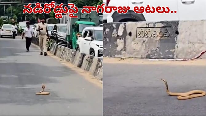 ఇది నా అడ్డా.. ఇక్కడి నుంచి కదిలేది లేదు.. నడిరోడ్డుపై చుక్కలు..