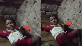 ఆటగదరా శివ.. పిల్లాడి మెడకు చుట్టుకున్న నాగుపాము.. ఆ తర్వాత..