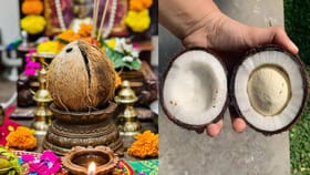 కొబ్బరి కాయ కొట్టగానే పువ్వు కనిపించిందా..? వదలకుండా తినేయండి..!