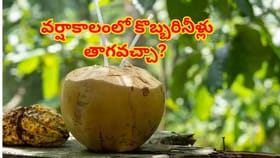 ప్రకృతి ప్రసాదించిన అమృతం..సీజన్‌తో పనిలేదు! ప్రతిరోజూ తాగడం వల్ల