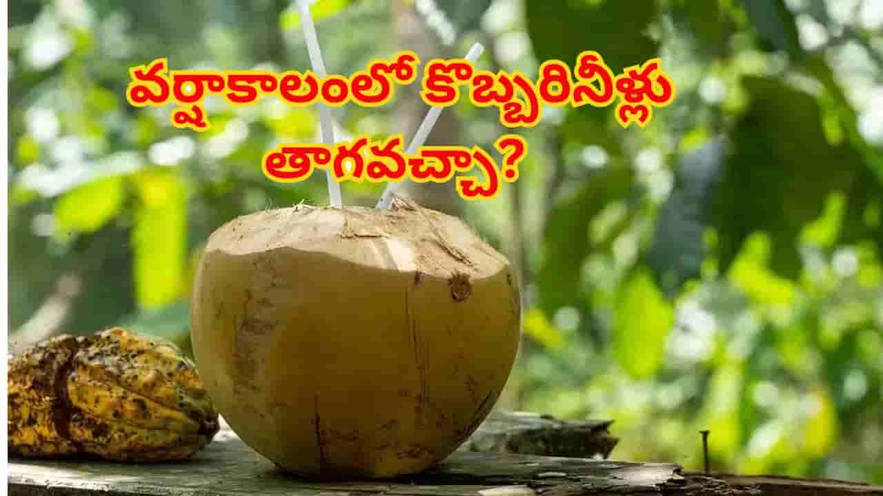 ప్రకృతి ప్రసాదించిన అమృతం..సీజన్తో పనిలేదు! ప్రతిరోజూ తాగడం వల్ల శరీరంలో జరిగేది ఇదే