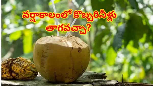 ప్రకృతి ప్రసాదించిన అమృతం..సీజన్తో పనిలేదు! ప్రతిరోజూ తాగడం వల్ల శరీరంలో జరిగేది ఇదే