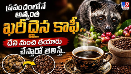 ప్రపంచంలోనే అత్యంత ఖరీదైన కాఫీ..