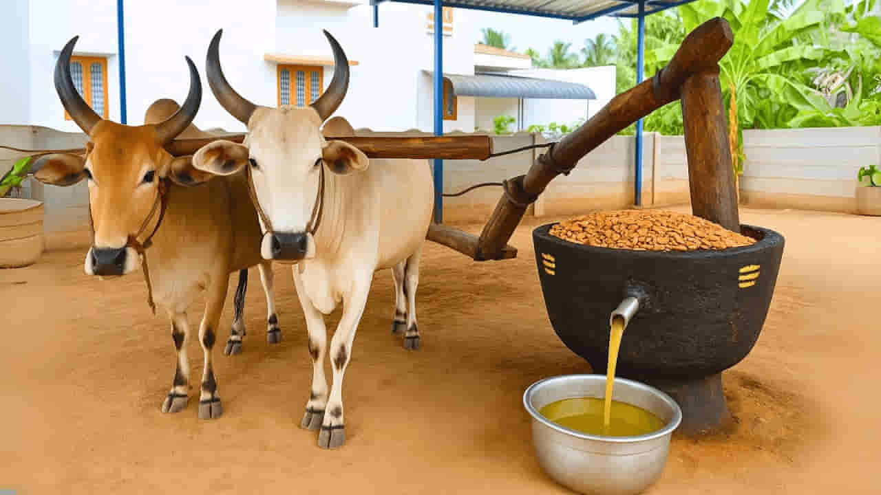 రిఫైన్డ్ ఆయిల్ కంటే గానుగ నూనె ఎందుకు మంచిది? మళ్లీ వస్తున్న పాతతరం అలవాట్లు