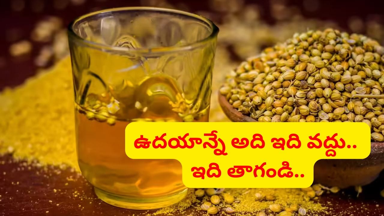 జుట్టు ఆరోగ్యం, చర్మ సౌందర్యానికి ధనియాల కషాయం.. ఉదయాన్నే తాగితే మీ శరీరంలో జరిగే మార్పులు ఇవే