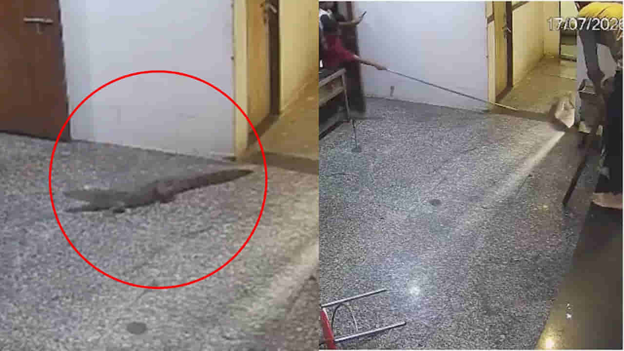 Viral Video: హాస్టల్ మెస్లో అనుకోని అతిథి.. తినడానికి వెళ్లిన స్టూడెంట్స్ పరుగో పరుగు.. వీడియో వైరల్..