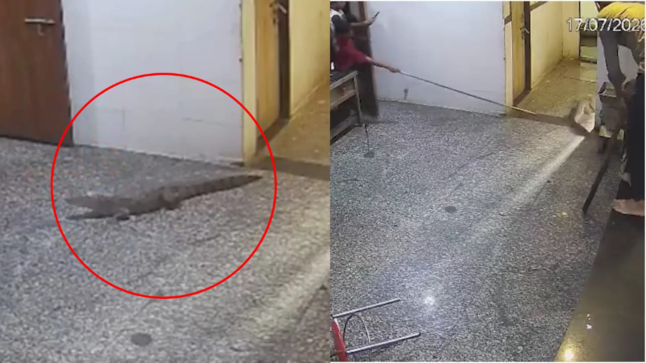Viral Video: హాస్టల్ మెస్లో అనుకోని అతిథి.. తినడానికి వెళ్లిన స్టూడెంట్స్ పరుగో పరుగు.. వీడియో వైరల్..