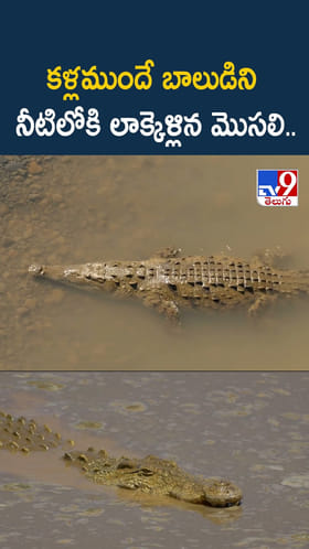 కళ్లముందే బాలుడిని నీటిలోకి లాక్కెళ్లిన మొసలి