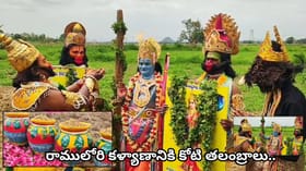 రాములోరి కళ్యాణానికి కోటి తలంబ్రాలు.. వానరసేన వేషంలో వరి విత్తనాల