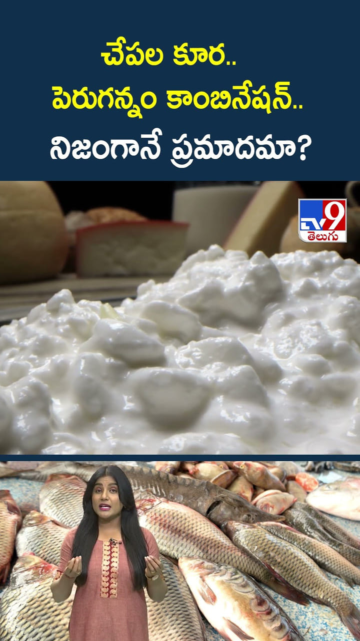 చేపల కూర.. పెరుగన్నం కాంబినేషన్.. నిజంగానే ప్రమాదమా?