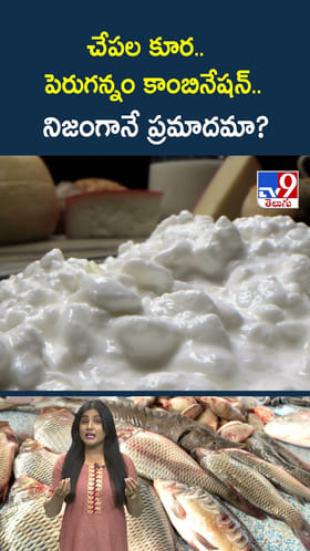 చేపల కూర.. పెరుగన్నం కాంబినేషన్.. నిజంగానే ప్రమాదమా?