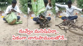 బస్తా నిండా నాగుపాములు తీసుకొచ్చి ఏం చేశాడంటే..?