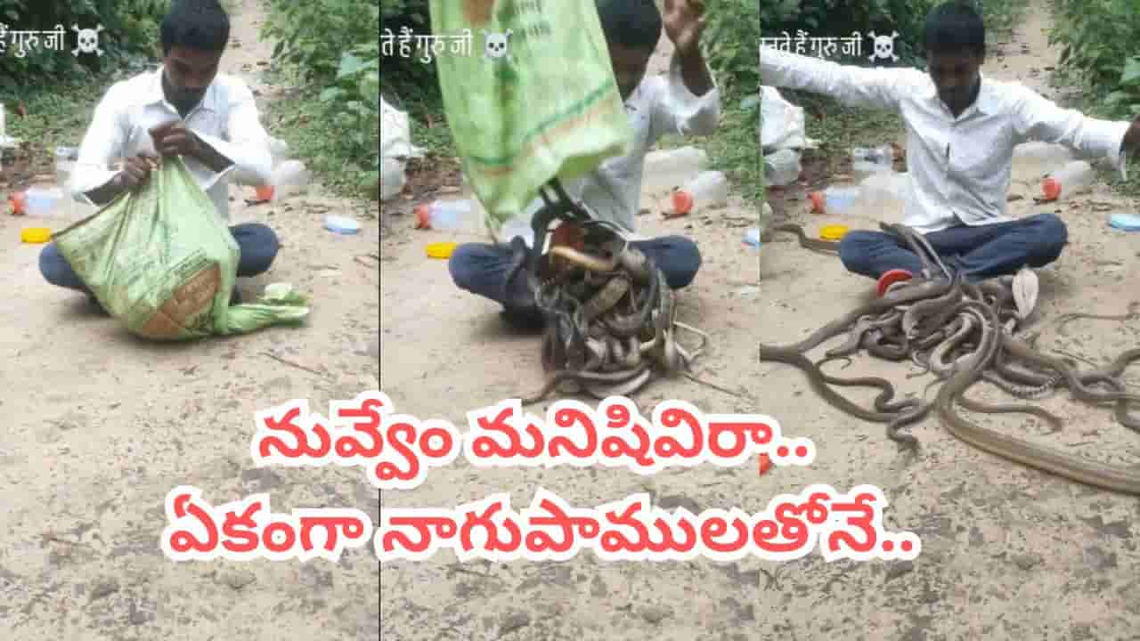 Viral Video: వామ్మో.. వీడు మనిషి కాదు.. బస్తా నిండా నాగుపాములు తీసుకొచ్చి ఏం చేశాడంటే..?