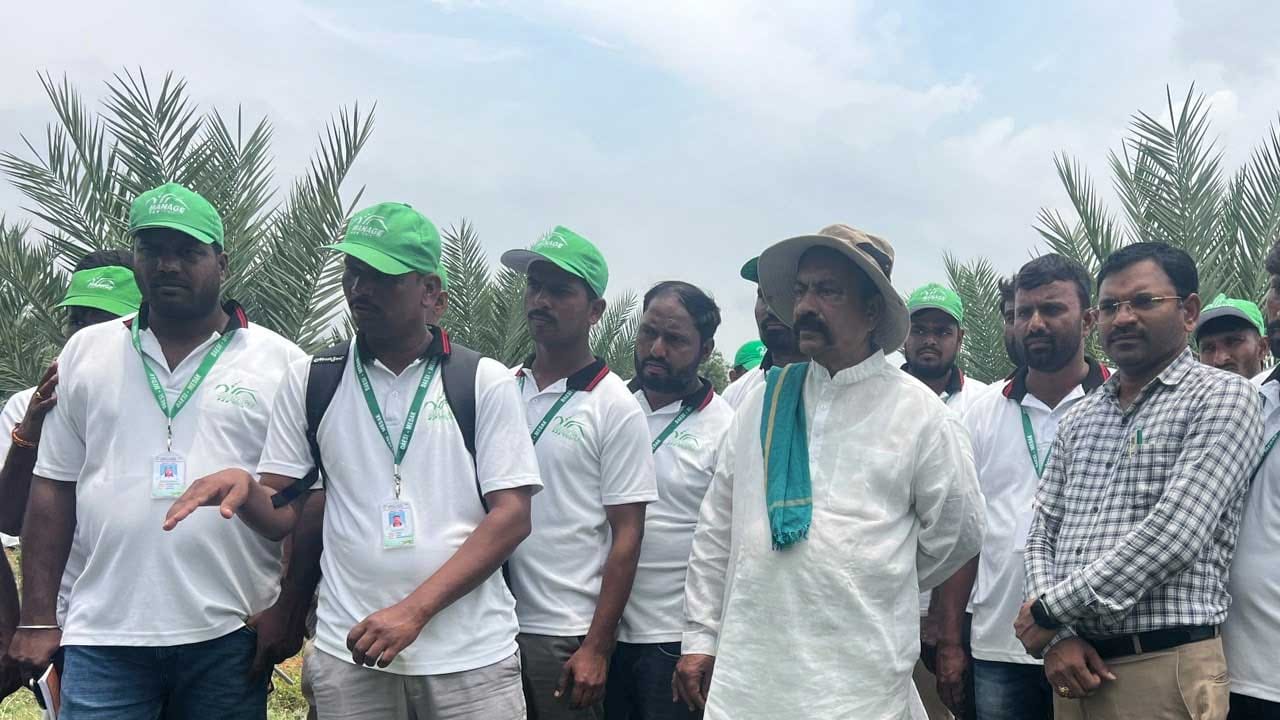 ఒక్కో మొక్కకు మార్కెట్ ధర మరియు నాణ్యతను బట్టి ఖర్చవుతుంది. అయితే,ఈ పంటకు ఒకసారి పెట్టుబడి పెడితే దాదాపు 60 నుండి 80 ఏళ్ల వరకు నిరంతరాయంగా ఫలసాయం అందుతుంది. ఈ ఖర్జూర చెట్లకు ఎక్కువ ఎండ, తక్కువ నీరు అవసరం ఉండడంతో, చెట్లకు డ్రిప్ సిస్టమ్ ద్వారా నీటిని అందిస్తూ తక్కువ నీటితోనే ఎక్కువ లాభాలు సాధించారు.