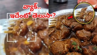 Viral Video: ఫాస్ట్‌ఫుడ్‌ సెంటర్‌లో వెజ్‌ మంచూరియా ఆర్డర్ చేశాడు.. తిందామని స్పూన్ పెట్టగా..