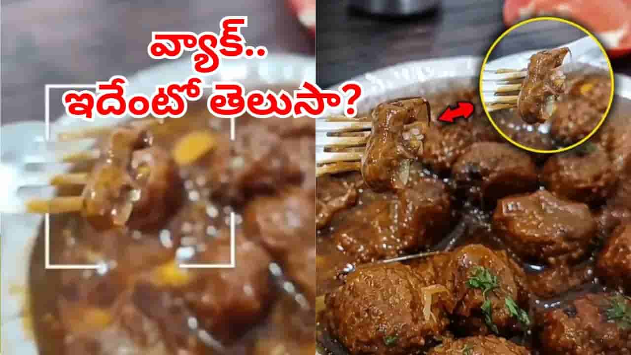 Viral Video: ఫాస్ట్ఫుడ్ సెంటర్లో వెజ్ మంచూరియా ఆర్డర్ చేశాడు.. తిందామని స్పూన్ పెట్టగా..