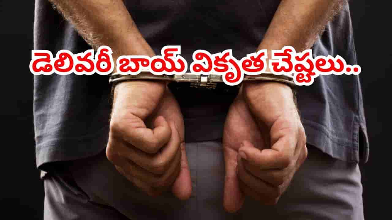 ఇలా తయారయ్యారేంట్రా! డెలివరీ బాయ్ వికృత చేష్టలు.. వాష్రూమ్ సాకుతో ఇంట్లోకి దూరి..