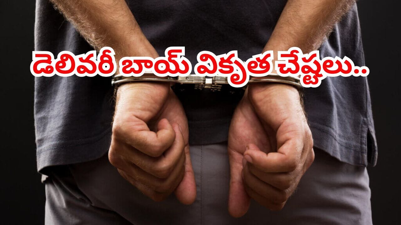 ఇలా తయారయ్యారేంట్రా! డెలివరీ బాయ్ వికృత చేష్టలు.. వాష్రూమ్ సాకుతో ఇంట్లోకి దూరి..
